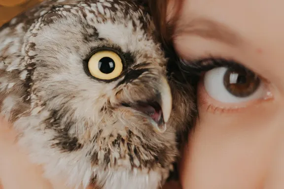 كازينو ولكوم بينغو الدعم